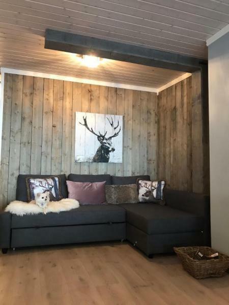 Kvamseter Lodge - Mountain Apartments Нурхеймсунн Экстерьер фото