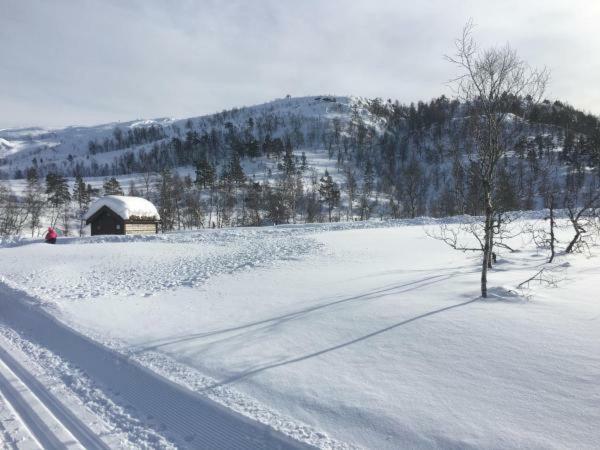 Kvamseter Lodge - Mountain Apartments Нурхеймсунн Экстерьер фото