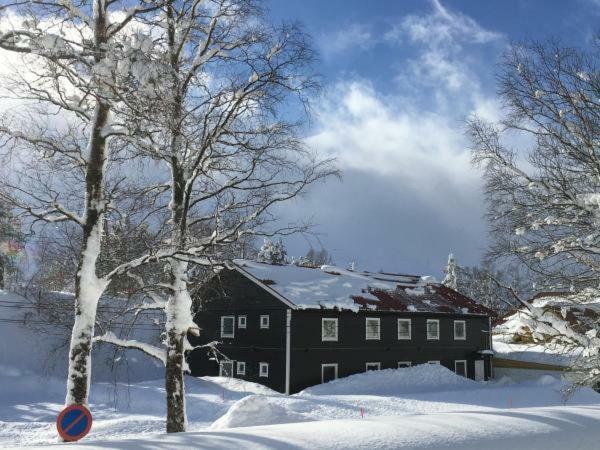 Kvamseter Lodge - Mountain Apartments Нурхеймсунн Экстерьер фото